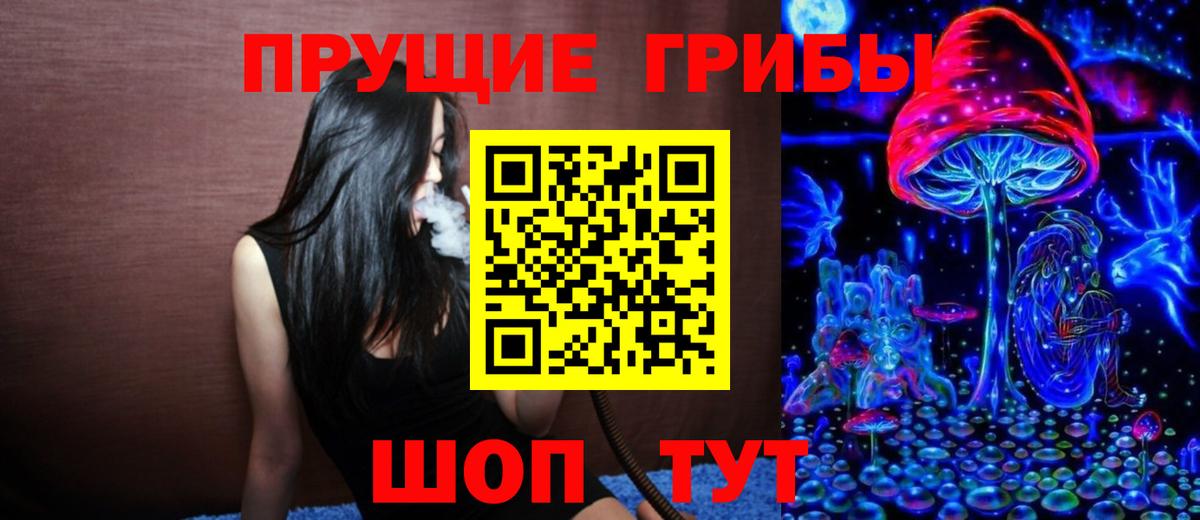 Щёкино  Псилоцибиновые грибы GOLDEN TEACHER  Галлюциногенные грибы Cubensis  Вход с VPN 